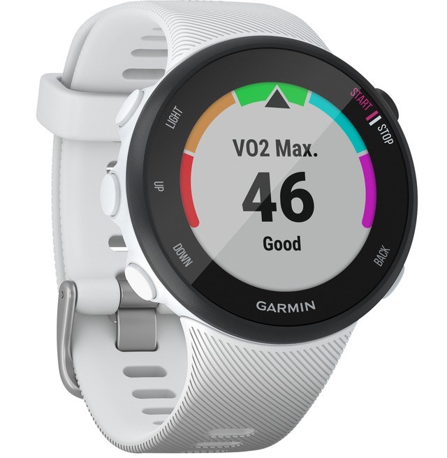  Garmin Forerunner 45S GPS Watch