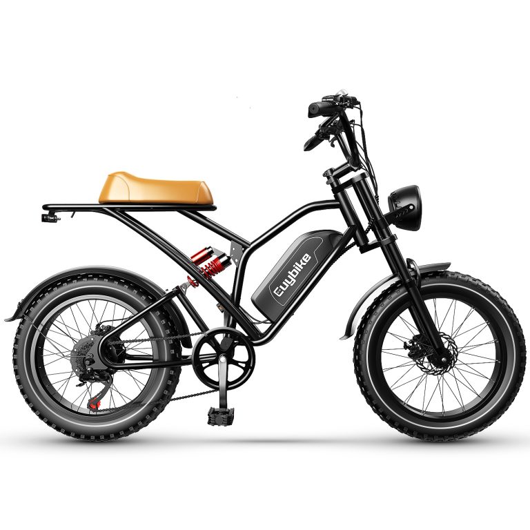EUY S4 1000W 48V 20AH electric bike 20 inch fat tire bicycle beach